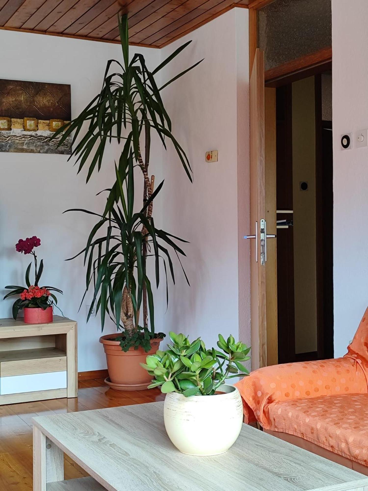 Apartment Kolman Толмин Екстериор снимка